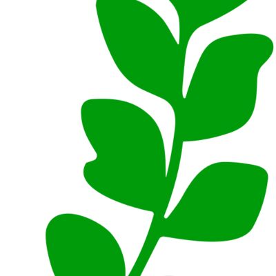 Leaves Thumbnail